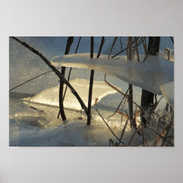 Poster Cena de Inverno de Gelo de Pântano Congelado do Ma