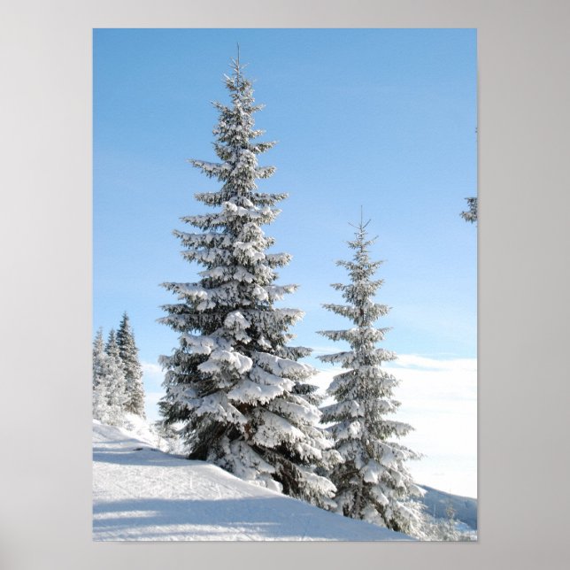 Poster Cena de inverno de neve com árvores de Natal (Frente)
