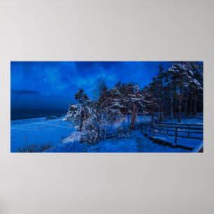 Poster Cena de inverno noturna com pinheiros cobertos de 