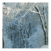 Cena de inverno Wonderland Snowy Fundo