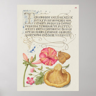 Poster Cena de jardim com flores, borboleta e cogumelo