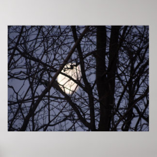 Poster Cena de Lua cheia