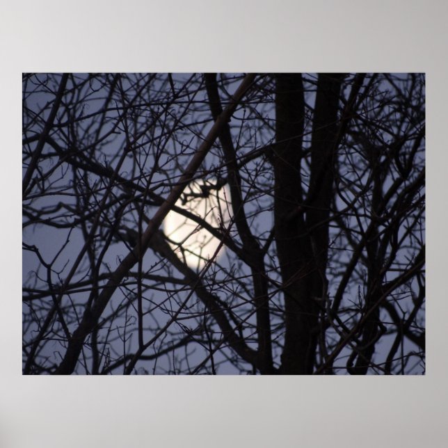 Poster Cena de Lua cheia (Frente)