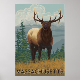 Poster Cena de MassachusettsElk