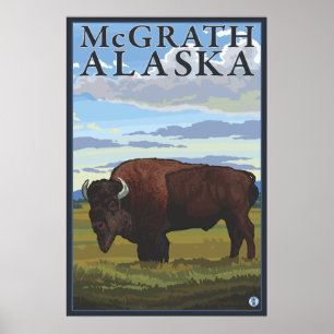 Póster Cena do bisonte - McGrath, Alaska
