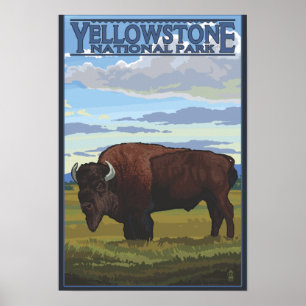 Poster Cena do bisonte - parque nacional de Yellowstone