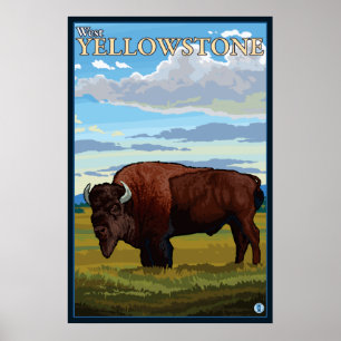 Póster Cena do bisonte - Yellowstone ocidental, Montana