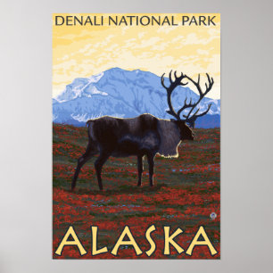 Póster Cena do caribu - parque nacional de Denali, Alaska