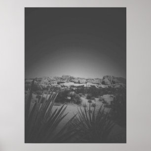 Poster Cena do Deserto de Árvore de Joshua, em Preto e B