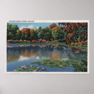 Póster Cena do lago Idaho com lírio PadsIdaho