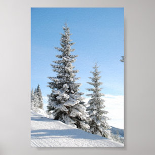 Póster Cena nevado do inverno com árvores de Natal