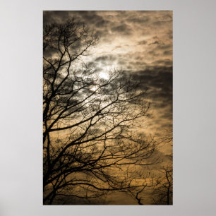 Póster Cena Sol Nublada