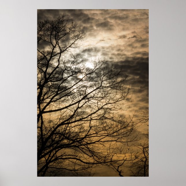 Póster Cena Sol Nublada (Frente)