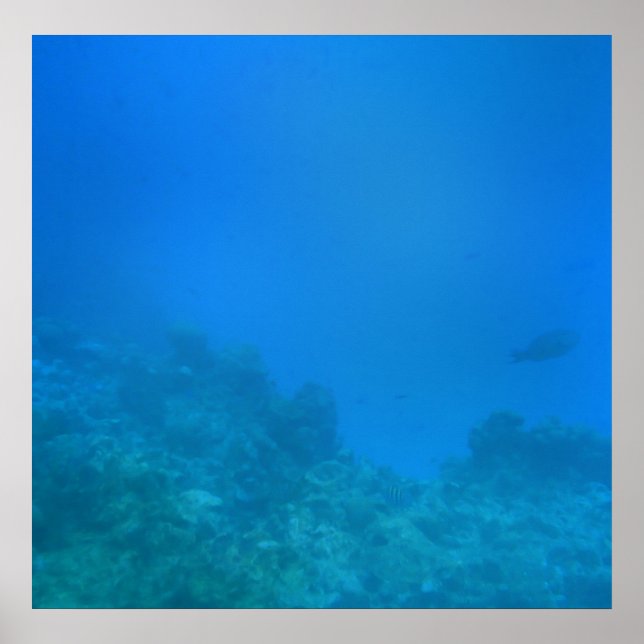 Poster Cena Submarina (Frente)