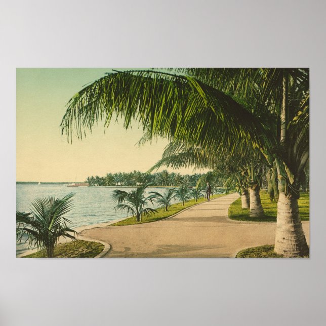 Poster Cena vintage da Palm Beach 1898 na Flórida (Frente)