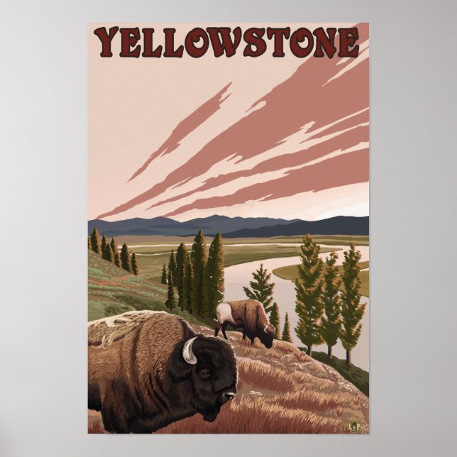 Póster Cena YellowstoneBison (Frente)