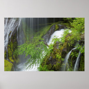 Poster Cenário da Cachoeira Verde