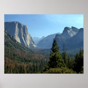 Poster Cenário da paisagem do parque de Yosemite