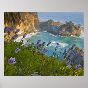 Poster Cenário de McWay Falls desaba na praia e