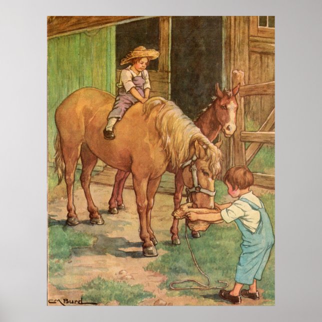 Póster Cenas de Fazenda inicial (Frente)