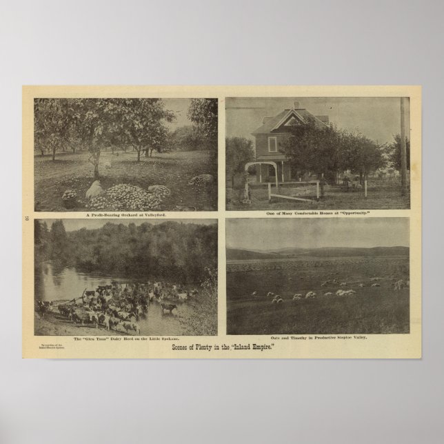 Poster Cenas no Império Interior (Frente)