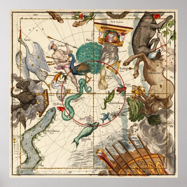 Póster Centaurus, Indus, Chamaeleon, Eridanus, Lupulus (Frente)