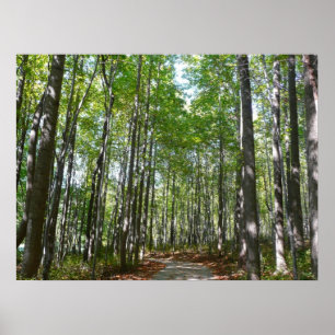 Poster Centennial Wooded Path II Ellicott City Maryland