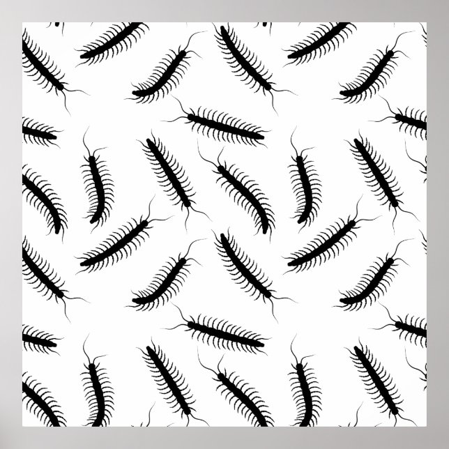 Poster Centipedes (Frente)