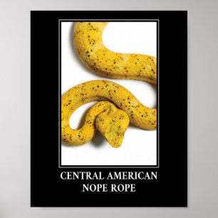Poster Central Americana de Corda - Viper Cobra