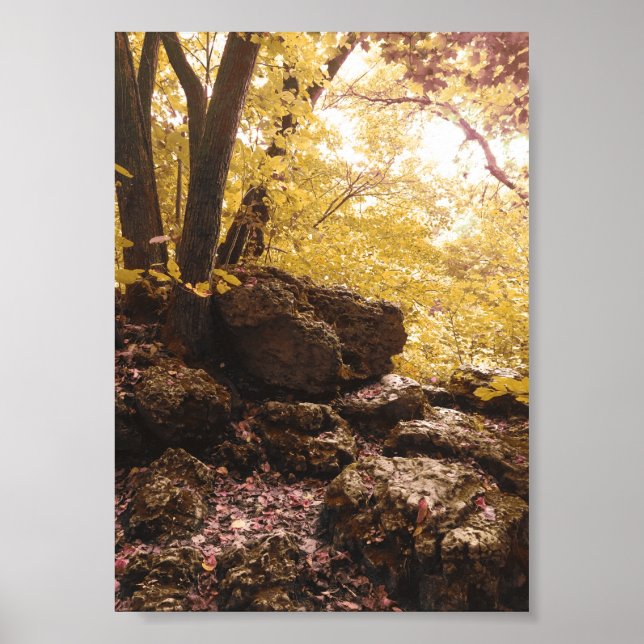 Poster central estadual de backbone iowa (Frente)