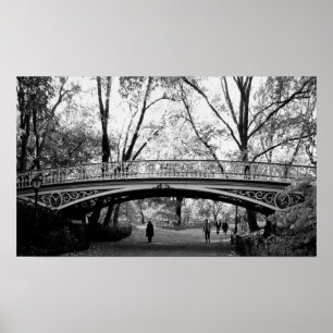 Póster Central Park