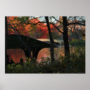 Poster Central Park: Conversação transversalmente da