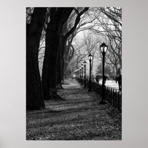 Póster Central Park, Nova Iorque
