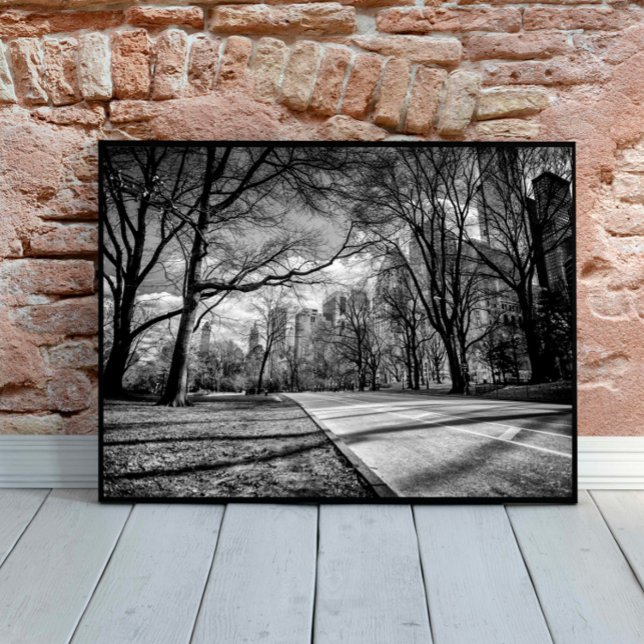 Poster Central Park Nova Iorque Black and White (Criador carregado)