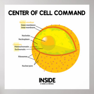 Póster Centro do comando da pilha dentro da biologia do