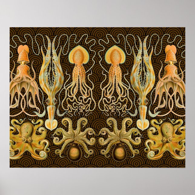 Poster Cephalopota Octopus Natureza Marinha Lula (Frente)