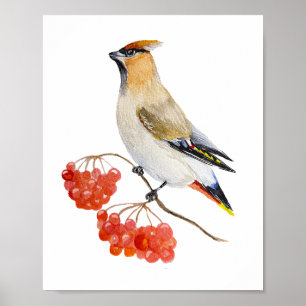 Poster Cera de aves da floresta aquosa
