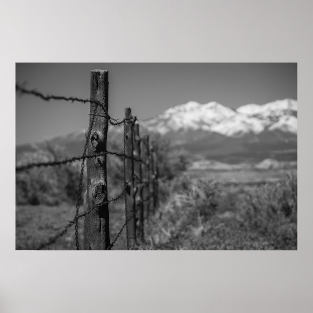 Poster cerca (Frente)