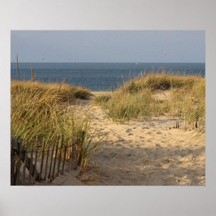 Poster Cerca da praia nas dunas de areia