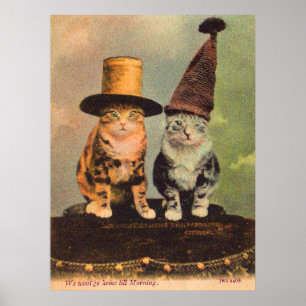Póster cerca de 1900 gatos em chapéus RPPC