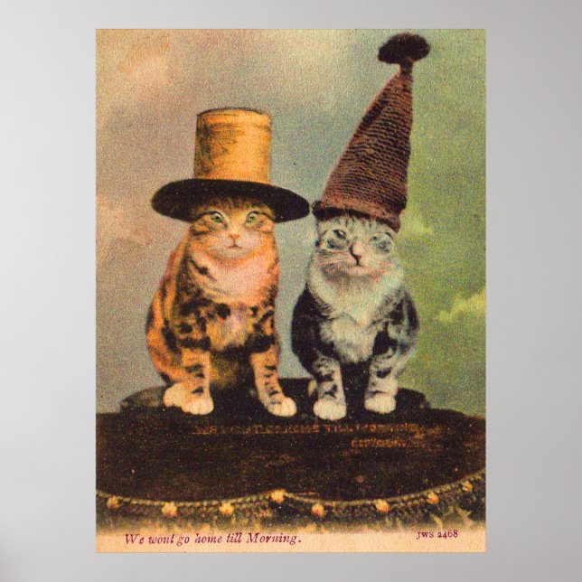 Póster cerca de 1900 gatos em chapéus RPPC (Frente)