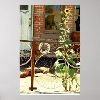 Poster Cerca de bicicleta