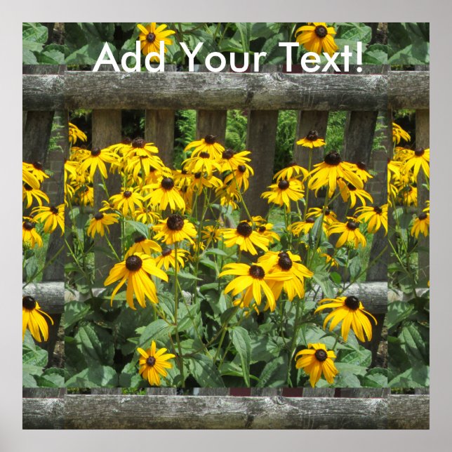 Póster Cerca Meteorada do Cluster Daisy (Frente)