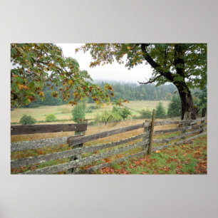 Poster Cerca Velha Numa Fazenda