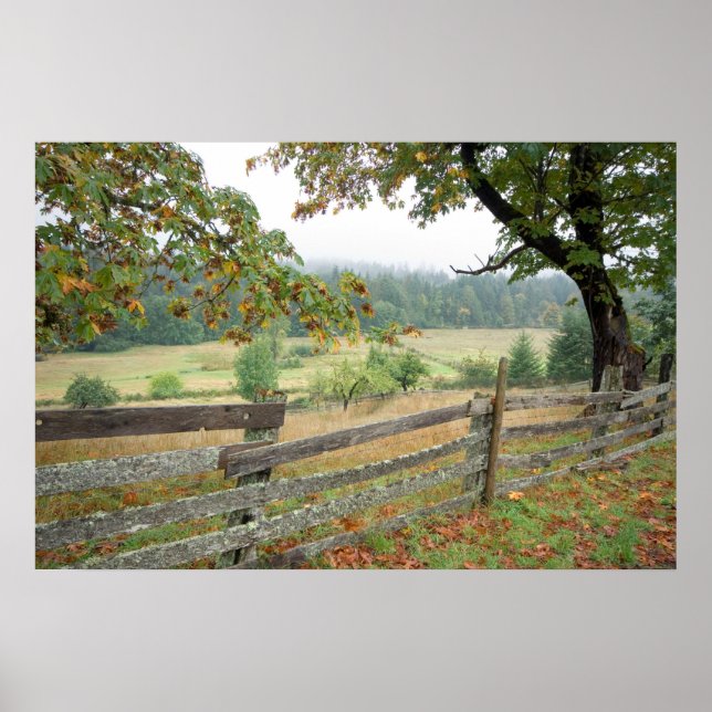 Poster Cerca Velha Numa Fazenda (Frente)