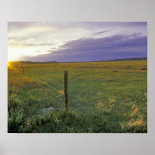 Póster Cercado de Arame Farpado no nordeste de Montana