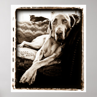 Póster Cerebelo atômico: Cadeira de Ballou