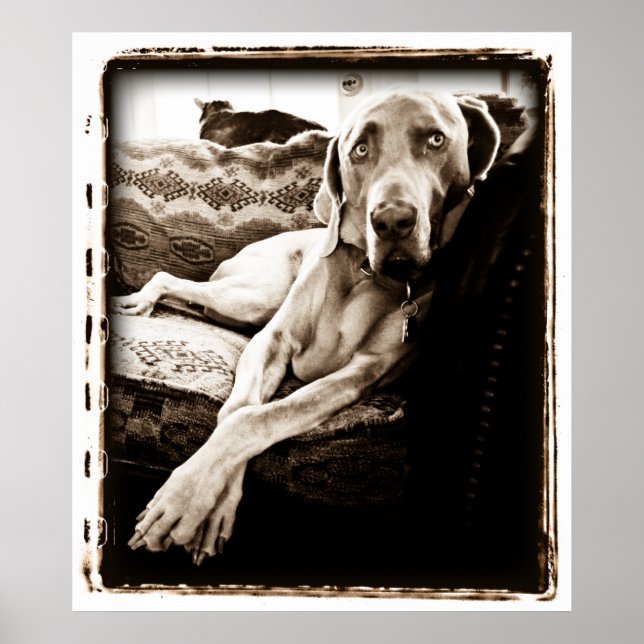 Póster Cerebelo atômico: Cadeira de Ballou (Frente)