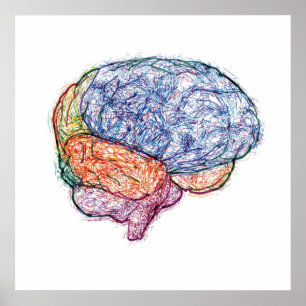 Póster cérebro