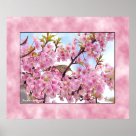 Poster Cérebro de flor de cerejeira "Kawazu-Zakura" pôste